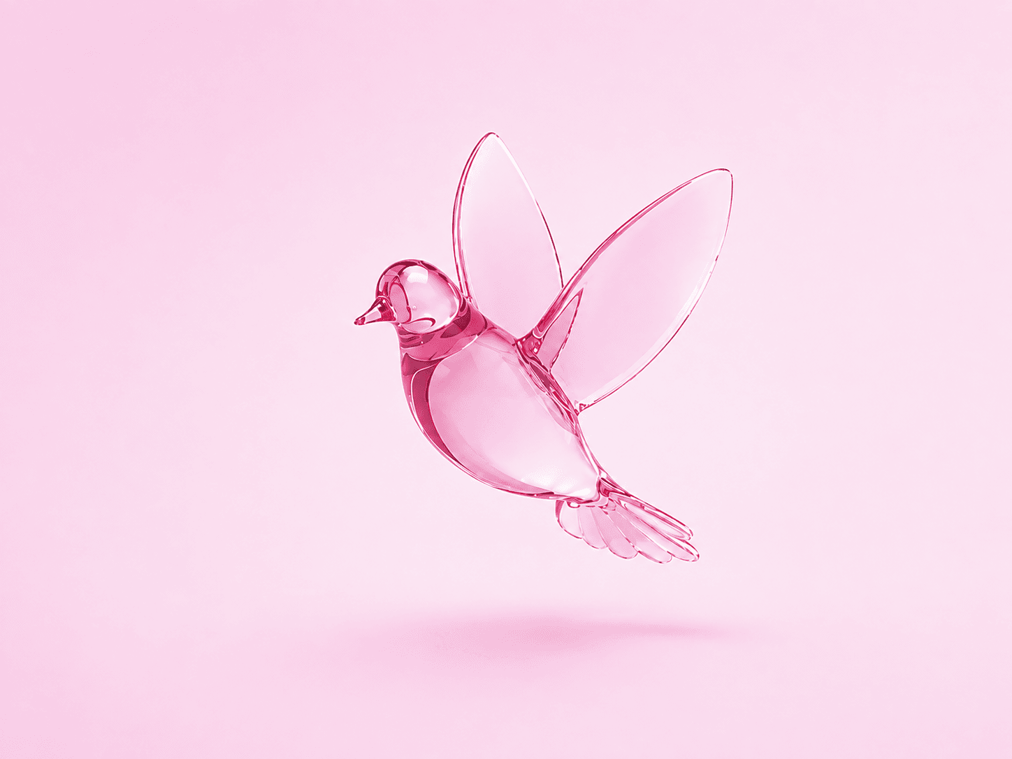 Silvana Book Early Bird Onboarding Launch